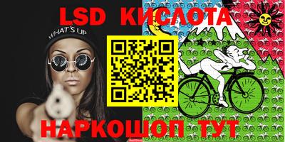 стаф Свободный