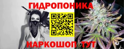 стаф Свободный