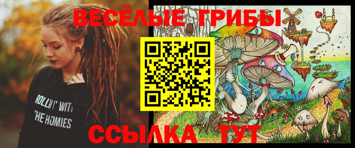 закладки  Галлюциногенные грибы GOLDEN TEACHER  Вход с VPN  Семилуки  Галлюциногенные грибы ЛСД 