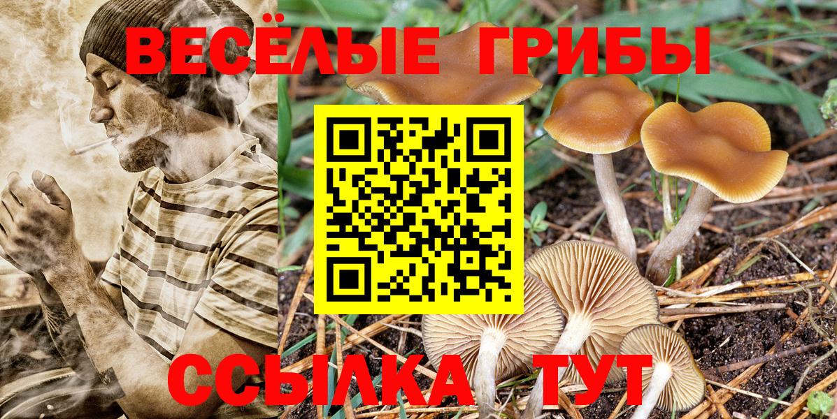 Псилоцибиновые грибы мухоморы Семилуки